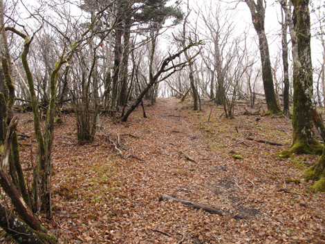20181205hike (67)